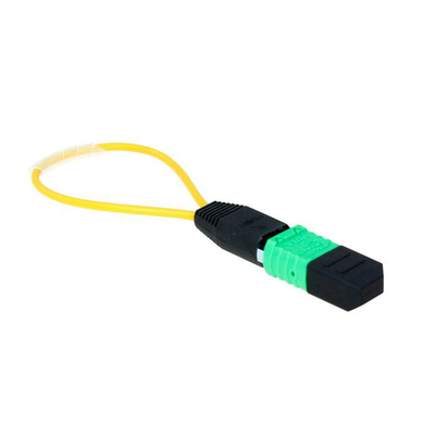 0.3m 12 Core SM MM Female Male MPO MTP Loopback