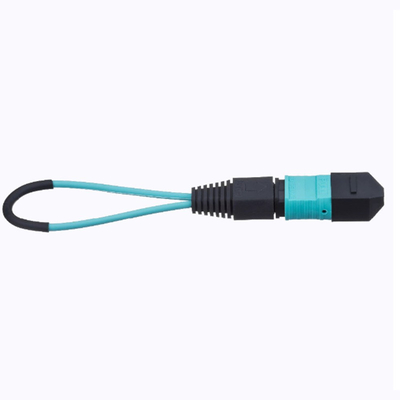 0.3m 12 Core SM MM Female Male MPO MTP Loopback