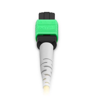 MTP Breakout Cable with 0.35dB Low IL and 8° APC Endface for OFNP Fire Safety-Rated Data Center Links