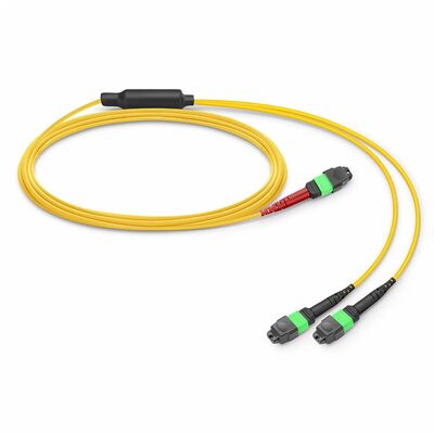 Qualidade MTP Breakout Cable com 0,35dB baixo IL e G.657.A1 Fibras insensiveis à dobra para aplicações classificadas para segurança contra incêndio pela OFNP Fábrica